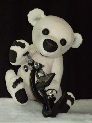 Die Spielfigur Eisbär Lars mit einem Mikroskop in den Händen